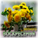 Тёплая, озарённая гиф-открытка Уютного воскресенья