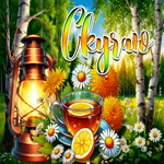 Удивительная летняя гиф-открытка Скучаю