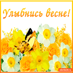 Улыбнись весне