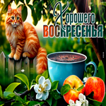 Улыбчивая и игривая гиф-открытка с котиком Хорошего воскресенья