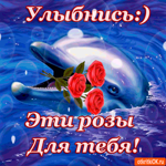 Улыбнись, Эти розы для тебя