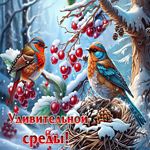 Уютная и вдохновляющая зимняя гиф-открытка Удивительной среды