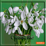 Вас друзья с весной