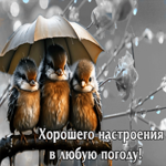 Вдохновляющая гиф-открытка Хорошего настроения в любую погоду