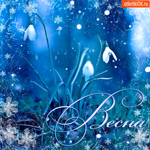Весна дождливая