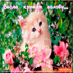 Весна кружит голову