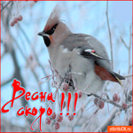 Весна скоро