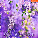 Красивая открытка с весной