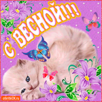 Весной нельзя грустить