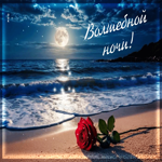 Весёлая, милая гиф-открытка Волшебной ночи
