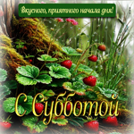 Вкусного, приятного начала дня! С субботой