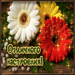 Волшебная, цветущая гиф-открытка Отличного настроения