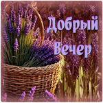 Волшебная, трепетная открытка Добрый вечер