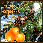 Восхитительная зимняя гиф-открытка Для хорошего настроения