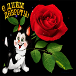 Всемирный день доброты