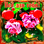 Всё это для тебя