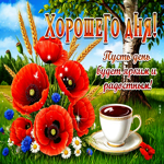 Хорошего дня! Пусть день будет ярким и радостным
