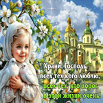 Храни, Господь, всех тех, кого люблю, всех тех, кто дорог в этой жизни очень
