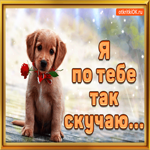 Я по тебе так скучаю