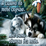 Я сильно по тебе скучаю. Мне очень одиноко без тебя