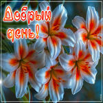 Яркая, сочная открытка Добрый день