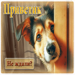 Забавная открытка Приветик! Не ждали?