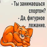 Забавные фразы