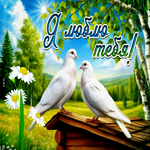 Задушевная летняя гиф-открытка Я люблю тебя