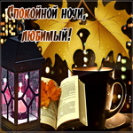 Замечательная открытка с книгой Спокойной ночи, любимый