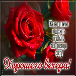 Желаю отлично отдохнуть и забыть всю дневную суету! Хорошего вечера