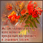 Желаю хорошего вечера, наполненного прекрасным настроением и душевным теплом