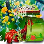 Желаю летнего настроения и во всём везения