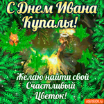 Желаю найти свой счастливый цветок, С днём Ивана Купалы