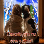 Живая открытка Спасибо, что ты есть у меня!