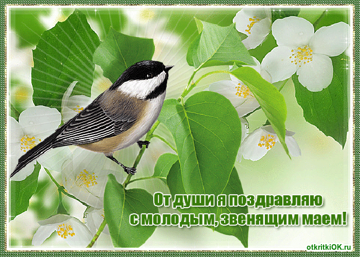 Открытка 1 мая праздник весны