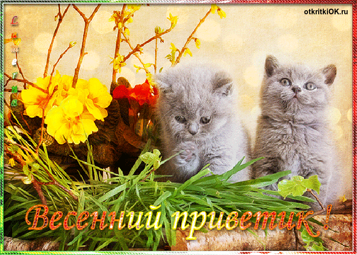 Картинка 1 марта