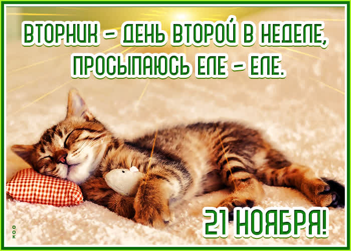 Postcard 21 ноября