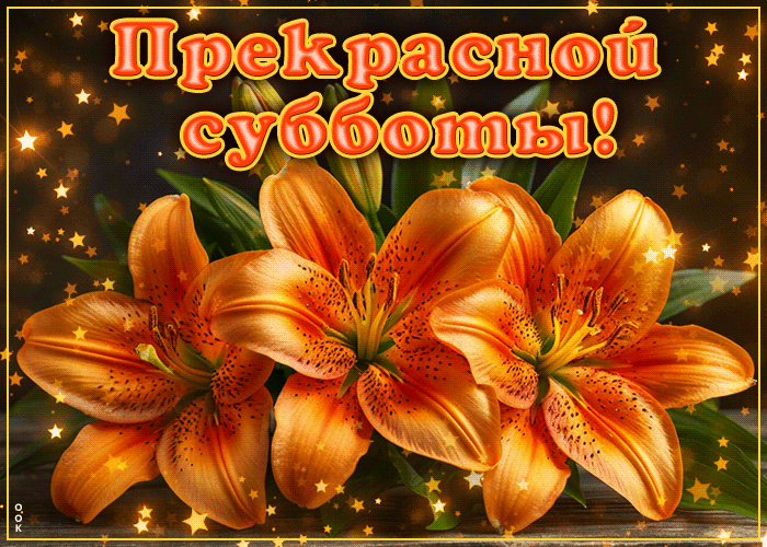 Postcard бархатистая, сказочная открытка прекрасной субботы