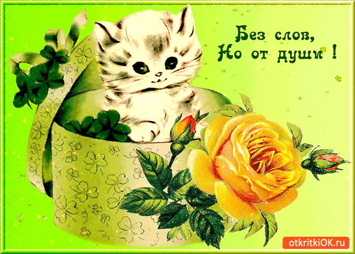 Открытка без слов но от души