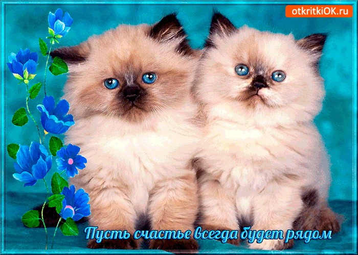 Картинка чтоб счастье всегда было рядом