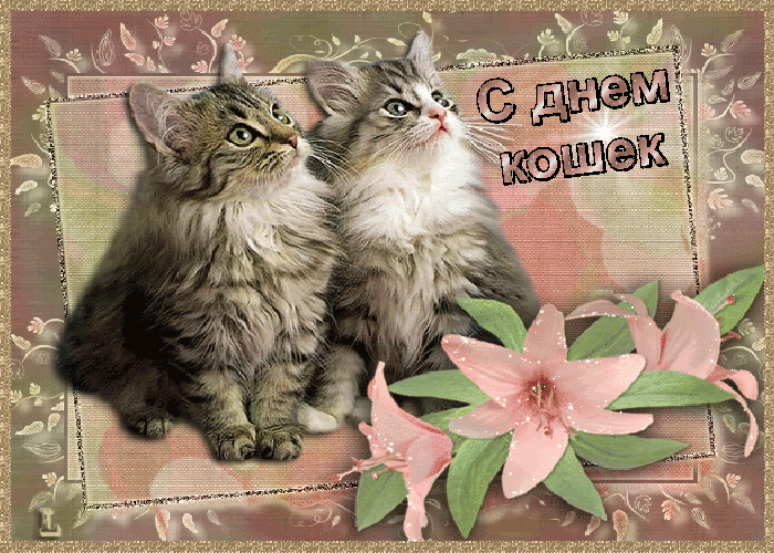 Картинка день котов и кошек