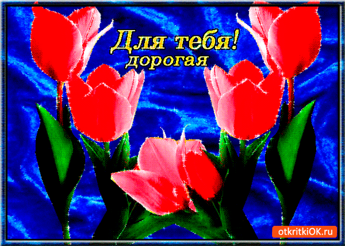 Открытка для тебя дорогая эти тюльпаны