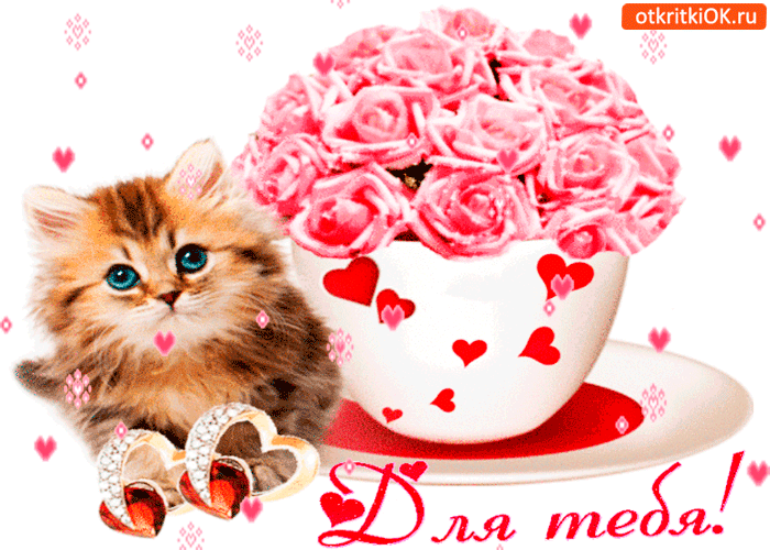 Открытка для тебя от милого котика