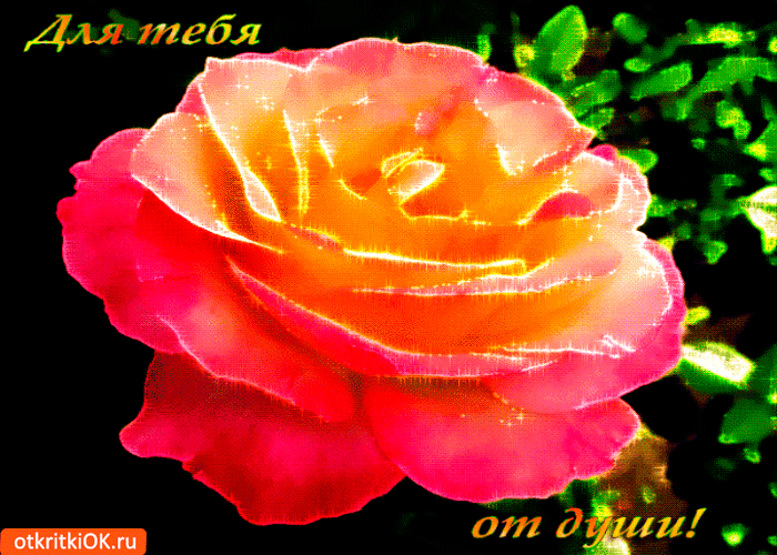 Открытка для тебя пион от души
