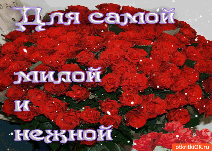 Картинка для самой милой и нежной букет роз