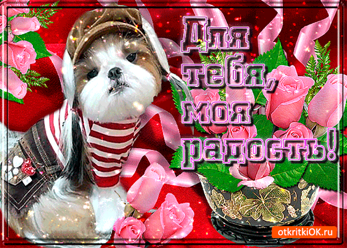 Картинка для тебя, моя радость