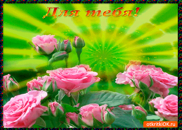 Открытка для тебя нежные розы