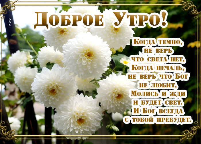 Postcard доброе утро! когда темно, не верь, что света нет