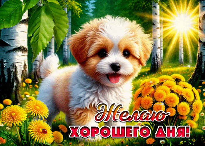 Picture душевная летняя гиф-открытка желаю хорошего дня