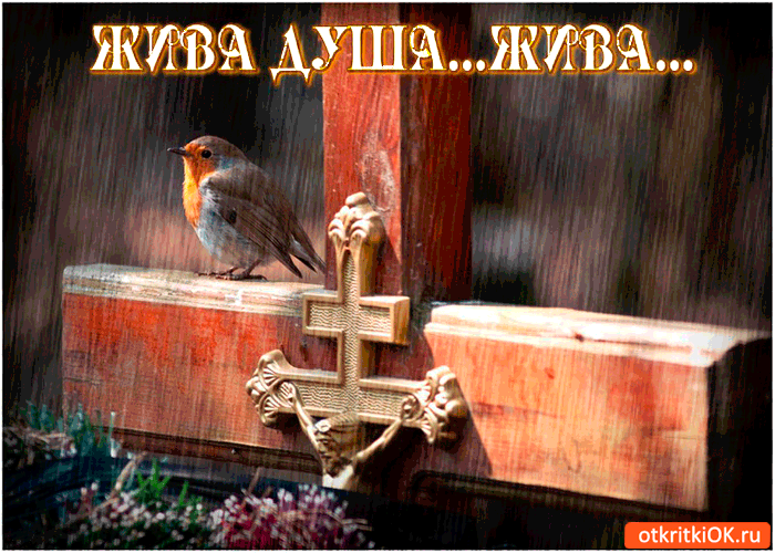 Картинка душа всегда жива - с радоницей